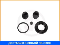 ��������� �������� ������� �������� Seinsa Autofren / D4567 D4567 ����