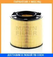 ��������� ������ MANN / C17013 �������� 1 ��� C17013 ����