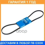 ������ ������������ SUN SUN / 3PK1055 �������� 12 ��� 3PK1055 ����