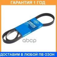 ������ ������������ SUN SUN / 5PK1050 �������� 12 ��� 5PK1050 ����