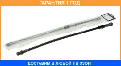 ����� ��������� �������� Trialli / BF121 �������� 12 ��� BF121 ����