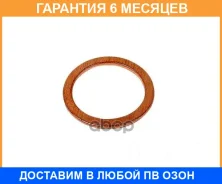 �������������� ������ ������������� FIAT 12X18x1,5 Victor Reinz / 417006100 �������� 6 ��� 417006100 ����