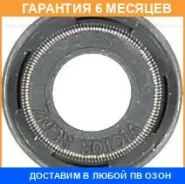 �������������� ������, �������� ������� Victor Reinz / 705395700 705395700 ����