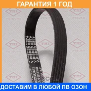 ������ ������������ 5PK1545 Tatsumi / TFB1004 �������� 12 ��� TFB1004 ����