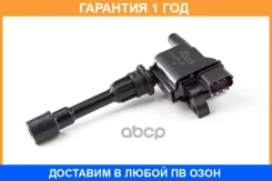 ������� ��������� NAP / MZDI2001E �������� 12 ��� ���� �� 10 �� MZDI2001E ����