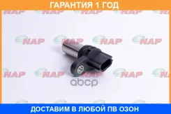 ������ ����������� NAP / NSCR0015E �������� 12 ��� NSCR0015E ����