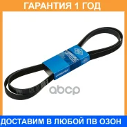 ������ ������������ SUN SUN / 6PK2145 �������� 12 ��� 6PK2145 ����