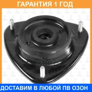 ����� ������������ ��������� (� �����������) TORR / DL0315 �������� 12 ��� DL0315 ����