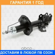 ����������� �������� ������� TORR / DV1124L �������� 12 ��� DV1124L ����