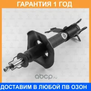 ����������� �������� ������� TORR / DV1734R �������� 12 ��� DV1734R ����