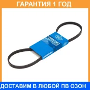 ������������ ������ SUN / 3PK795 �������� 12 ��� 3PK795 ����