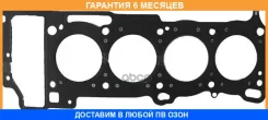 ���������, ������� �������� Victor Reinz / 613313000 �������� 6 ��� 613313000 ����