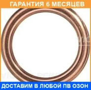�������������� ������, ��������� ������ ����������. �������. Victor Reinz / 417202930 �������� 6 ��� 417202930 ����