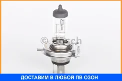 ����� 12V H4 60/55W Standart 1 ��. ������ Bosch / 1987302041 1987302041 ����