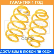 ������� �������� ������ Sufix / SZ1013 �������� 12 ��� ���� �� 2 �� SZ1013 ����
