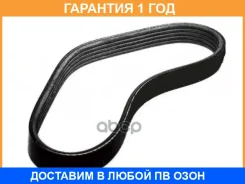 ������ ������������ Dongil / 5PK955 �������� 12 ��� 5PK955 ����