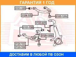 ����� ������� ��������� ������� ������ ASVA / 0120120D �������� 12 ��� 0120120D ����