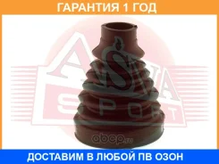 ������� ���� (�������� ��� ������) ASVA / Asbtinfr2 �������� 12 ��� ASBTINFR2 ����