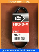 ������ ���������� Gates / 4PK855 4PK855 ����