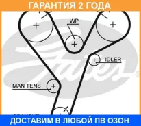 ������ ��� Gates / 5446XS 5446XS ����