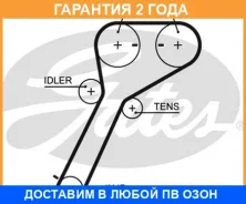 ������ ��� Gates / 5651XS �������� 24 ��� 5651XS ����