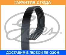 ������ ���������� Gates / 6PK1198 �������� 24 ��� 6PK1198 ����