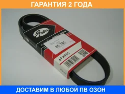 ������ ���������� Gates / 6PK955 �������� 24 ��� 6PK955 ����
