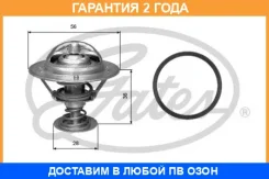 ��������� Gates / TH31482G1 �������� 24 ��� TH31482G1 ����