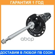 ����������� �������� CTR / GY1541G �������� 12 ��� GY1541G ����