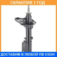 ������ JETT / V31104 �������� 12 ��� V31104 ����