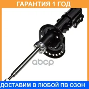 ������ ��������������� (FR) Double Force / DF338106 �������� 18 ���, ������ �������� DF338106 ����