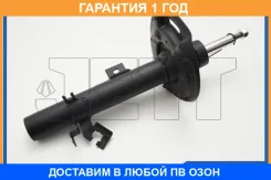 ������ JETT / V31183R �������� 12 ��� V31183R ����