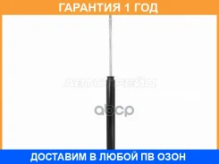 ����������� ������ Baikor / Bksar0031 �������� 12 ��� BKSAR0031 ����