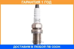 ����� ��������� Champion / OE033T10 �������� 12 ��� OE033T10 ����