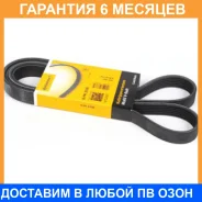 ������ ������������ Contitech / 6PK1733 �������� 6 ��� 6PK1733 ����
