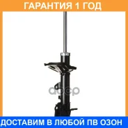 ������ ������������ (RR) Double Force / DF338019 �������� 18 ���, ������ ������ DF338019 ����