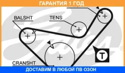 ������ ��� Gates / 5436XS 5436XS ����