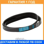 ������ ��������� () Dongil / 6PK1710 �������� 12 ��� 6PK1710 ����