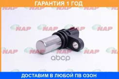 ������ ��������� NAP / NSCR0011E �������� 12 ��� NSCR0011E ����