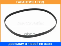 ������ ������������ SAT / 5PK1065 �������� 12 ��� 5PK1065 ����