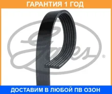 ������������ ������ Gates / 6PK1093 �������� 12 ��� 6PK1093 ����