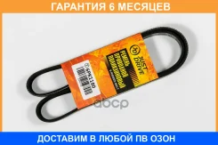 ������ JUST Drive / 6PK1180 �������� 6 ��� 6PK1180 ����