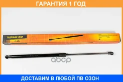 ������� ���� JUST Drive / JAD0160 �������� 12 ��� JAD0160 ����