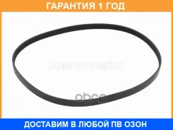 ������ ������������ + SAT / 5PK1190 5PK1190 ����