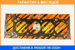 ��������� ���(������) JUST Drive / JPC0078 �������� 6 ��� JPC0078 ����