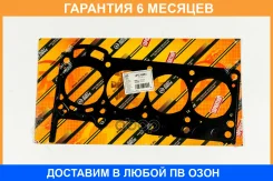 ��������� ���(������) JUST Drive / JPC0081 �������� 6 ��� JPC0081 ����