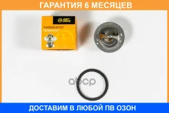 ��������� JUST Drive / JPT0049 �������� 6 ��� JPT0049 ����