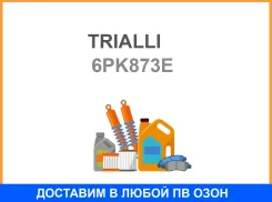 ������ Trialli ��������� ��� �� Ford Transit (06-)PSA Boxer (06-) 22d AC- (�����) (Elast) 6PK873E Trialli / 6PK873E 6PK873E ����