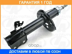 ������ ��� ����� RH Ipsim Gaia Nadia XM1#G Trustauto / TA21026FR �������� 12 ���, ������ TA21026FR ����
