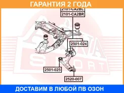 ����������� ASVA / 2101CA2BR �������� 24 ��� 2101CA2BR ����